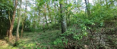 Odejście do dzieła fortyfikacyjnego D-10