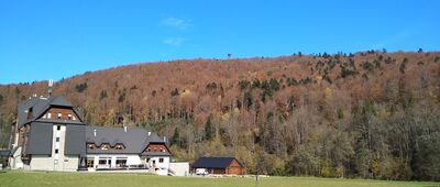 Muczne