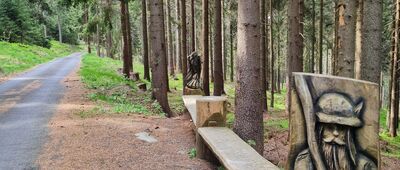 Sedlo pod Dvoračkami, lesní školka ↔ Preislrův kopec