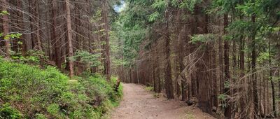 Kotelská louka ↔ Bouda Na Waldhelmu