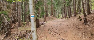 Kotelská louka ↔ Bouda Na Waldhelmu