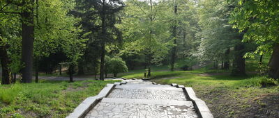 Zamek Książ