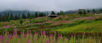 Betlejemka