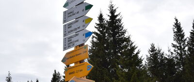 Polana w Karkonoszach