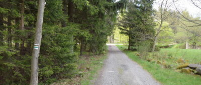 Borowice