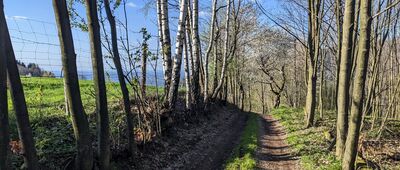 Porąbka, ul. Smrekowa ↔ Kiczera [Beskid Mały - Porąbka ul. Kiczory]