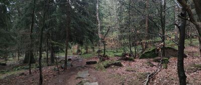 Szklarska Poręba, ul. Wlastimila Hofmana ↔ Sowiniec