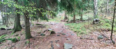 Szklarska Poręba, ul. Wlastimila Hofmana ↔ Sowiniec