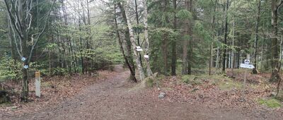 Szklarska Poręba, dom Wlastimila Hofmana