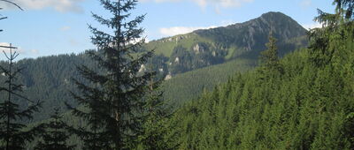 Pomník SNP ↔ Partizánska nemocnica