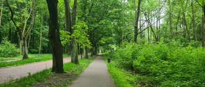 Aleja Klonowa ↔ Park Śląski, leśniczówka [Aleja Klonowa]