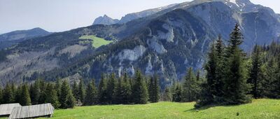 Lodowe Źródło ↔ Polana Stoły [Polana Stoły, widok na polanę Upłaz, Organi, Zdziary Pisaniarskie i Pisaniarski Źleb, w tle Giewont]