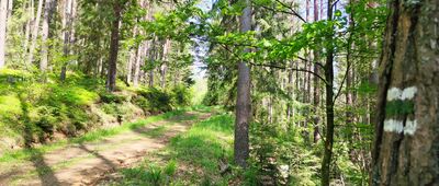 Jakubčáková ↔ Vikartovce