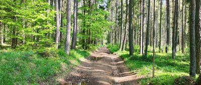 Jakubčáková ↔ Vikartovce