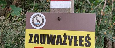 Pikulawka, rozejście szlaków