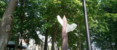 Busko-Zdrój, Park Zdrojowy