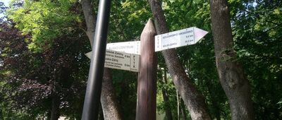 Busko-Zdrój, Park Zdrojowy