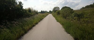 Rozejście pod Zwierzyńską Górą ↔ Kurzejów