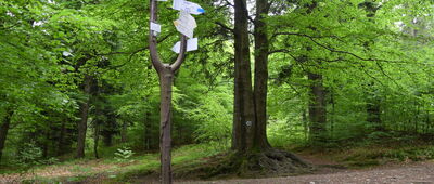 Bystra Krakowska