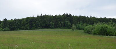 Ścieżka na Folwarczną