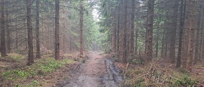 Odejście ścieżki na Rudnik ↔ Rudnik, punkt widokowy