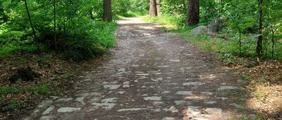 Studánka Pod Borem, odb. ↔ Bor, odbočka k vyhlídce