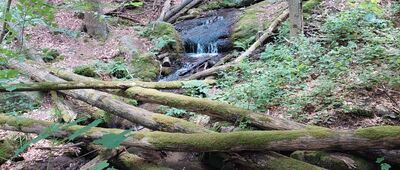 Studánka Pod Borem, odb. ↔ Studánka Pod Borem