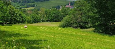 Pod Hůrkou ↔ Studánka Pod Borem, odb.