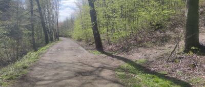 Skrzyżowanie szlaków niebieski / czarny