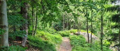 Malý Štolpich, u vdp. ↔ Bílá kuchyně, rozc.