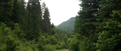 Bystré, horáreň ↔ Na jame, rázc.