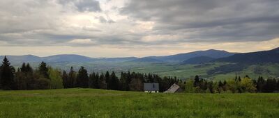 Tymbark, skrzyżowanie ↔ Pod Paprocią [Po lewej Ostra i Cichoń. Po prawej Mogielica. W tle ośnieżone Tatry]