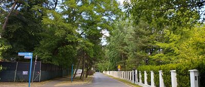 Konstancin-Jeziorna, ul. Żółkiewskiego ↔ Konstancin-Jeziorna, ul. Od Lasu [Róg ul. Potulickich i Od Lasu]