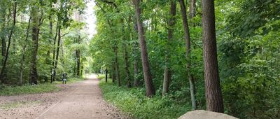 Konstancin-Jeziorna, ul. Od Lasu [Wejście na ścieżkę zdrowia im. T. Hopfera]