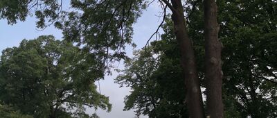 Bierawa, ul. Powstańców [Rozejście szlaków, Powstańców skręca w pola]