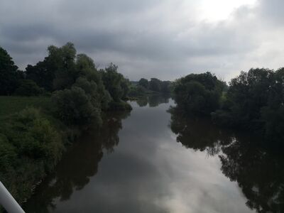 Widok w górę rzeki, prom w Ciechowicach za 20km