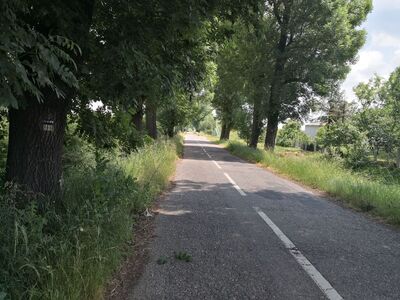 Grzegorzowice, w kierunku Odry