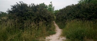 Kielce, ul. Księcia Józefa Poniatowskiego