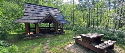 Przełęcz Bukowska ↔ Początek ścieżki przyrodniczej "Rozsypaniec - Krzemień"
