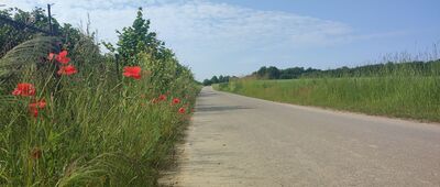 Rozejście szlaków [Szlak niebieski]