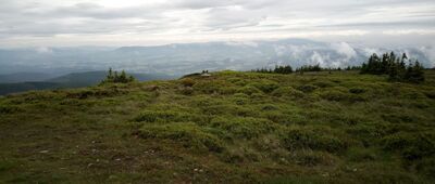 Keprník, vrchol