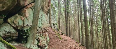 Słoneczne Skały ↔ Rozdroże pod Basztami