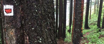 Svrčnícke sedlo ↔ Svrčnícky prameň