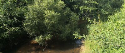 Sławków, walcownia ↔ Sławków ul. Browarna [Biała Przemsza]