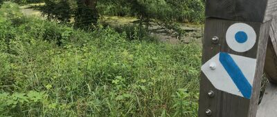 Sławków, walcownia ↔ Rozejście szlaków [Kropka Szlaku Kruszcowego przy kanale walcowni, jednak mapa wskazuje by iść dalej (są tam punkty do odwiedzenia)]