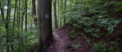 Pod Rogowcem