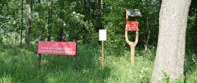 Sokołowsko, ul. Unisławska