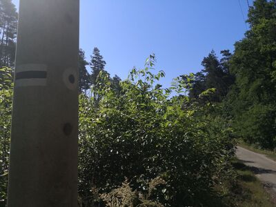 Koniec szlaku Uroczyska Buk