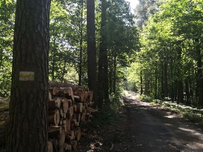 Okrężny Gliwic w Podbiałej