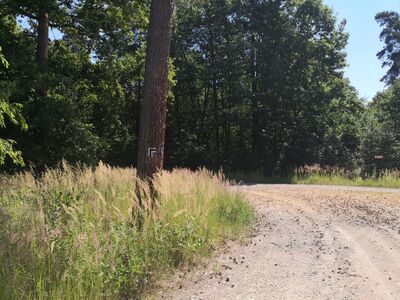 Skręt na drogę w kierunku "Morza" (Jeziora Rybnickiego)